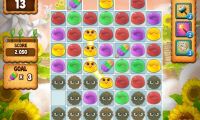 Pudding Pop