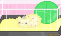 My Dream Hamster 