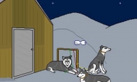 Der verschwundene Husky 