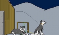Der verschwundene Husky 