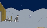 Der verschwundene Husky 