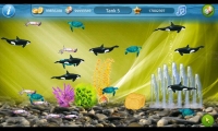 Tap Fish