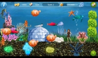 Tap Fish