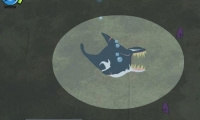 Killer Whale