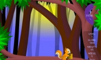 Twin Squirrel