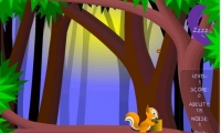Twin Squirrel