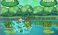Pambu Froggy