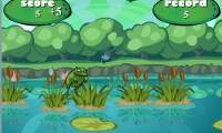 Pambu Froggy