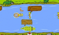 Why Did The Chicken Cross The Road?