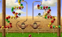 Pestering Birds