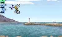 FMX Team