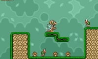 Bowser's Recruitment