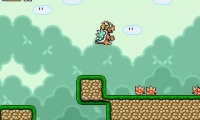 Bowser's Recruitment