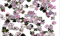 Jigsaw: Soft Pink Flowers