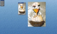 Sumpfhuhn puzzles 5