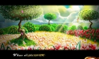 The Enchanting Islands