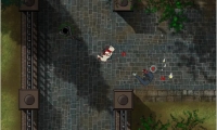 Project Validus: Survival