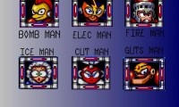 MegaMan RPG