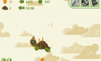 Turtle Dreams to Fly