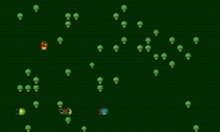Bugs