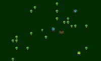Bugs