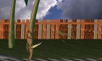 JRAG 2003