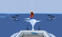 Wake Boarding