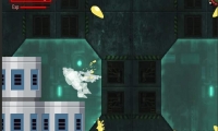 The Breach