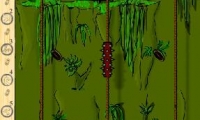 Climbing Ninja