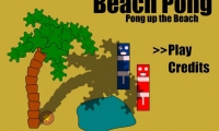 Beach Pong
