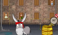 Dungfoo Donkey