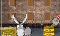 Dungfoo Donkey