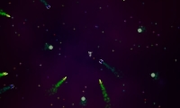 Eliminator 3D