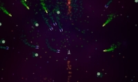 Eliminator 3D