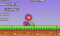 Pink Spot