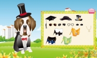 Pets In The City 