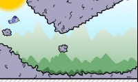 Hurry Bird