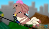 Lady Dove