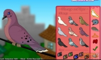 Lady Dove
