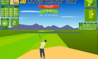 3D Championship Golf