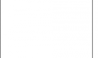 YouTube Mobile Downloader