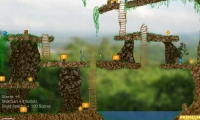 Jungle Treasures