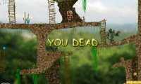 Jungle Treasures