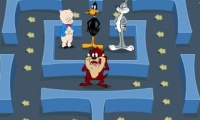 Taz Man 