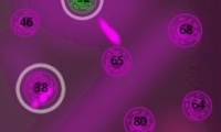 Phage