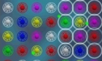 Phage