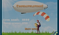 Sky Diver