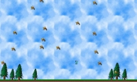 Animal Invasion