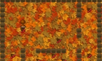 Centipede