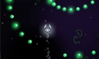 Vatn Squid